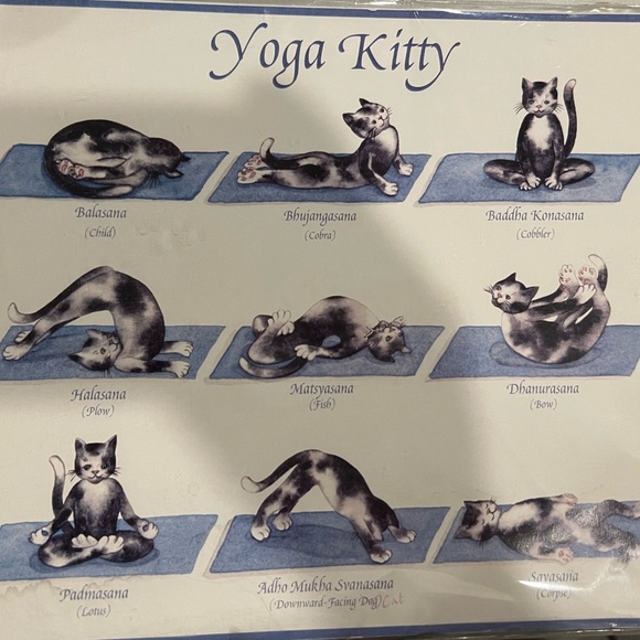 🐱 Yoga Kitty print with 9 yoga poses - Picture 3 of 10